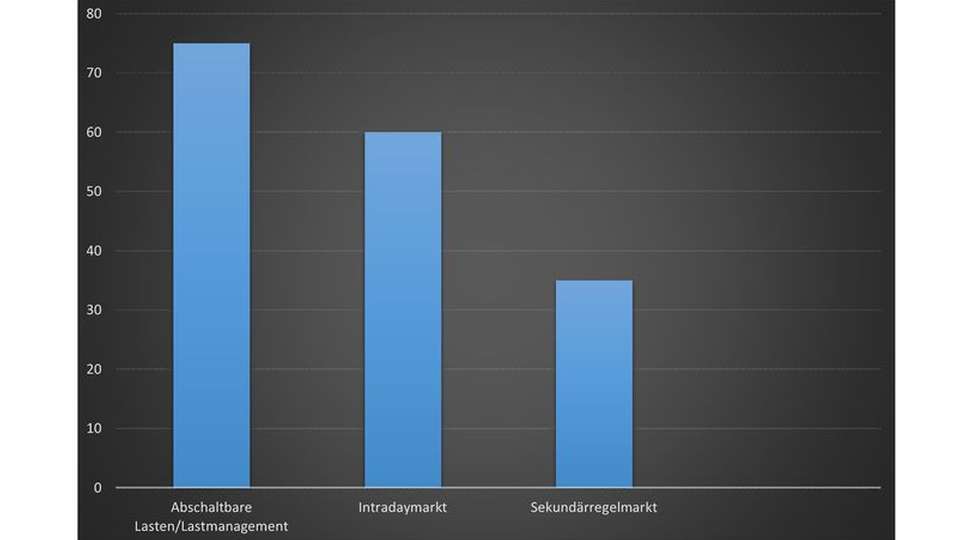 Abschaltbare Lasten und Lastmanagement sind für 75 Prozent der befragten Unternehmen ein wichtiges Thema, der Sekundärregelmarkt für nur 20 Prozent.