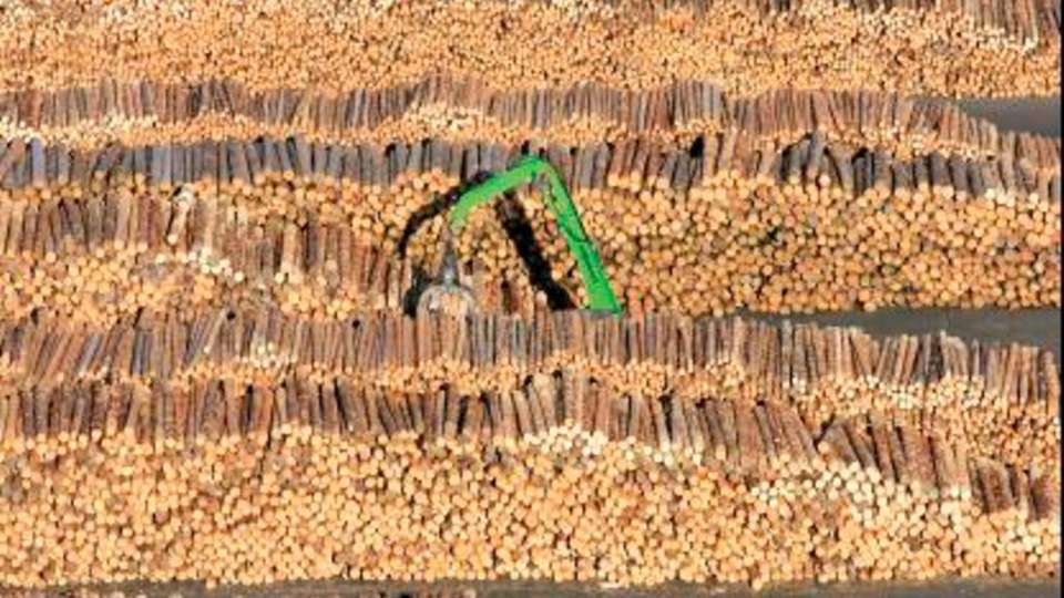 
                        
                        
                          Egal, ob man darauf sitzt, steht, seine Tasse darauf abstellt oder damit heizt: Holz ist wieder in. Zudem ist Deutschland zu fast einem Drittel mit Wald bedeckt, über elf Millionen Hektar kommen da zusammen. Kein Wunder also, dass deutsche Hersteller von Holzbearbeitungsmaschinen weltweit Marktführer sind. Und doch läuft nicht alles rund.
                        
                      