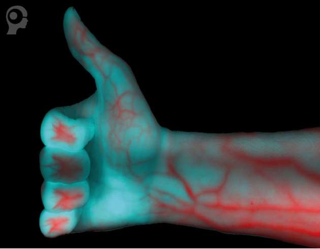 Mit CCI und einem Hyperspektral-Aufbau ist es im Medizinbereich gelungen, eine menschliche Hand aufzunehmen und die darin befindlichen Blutgefäße sichtbar zu machen.