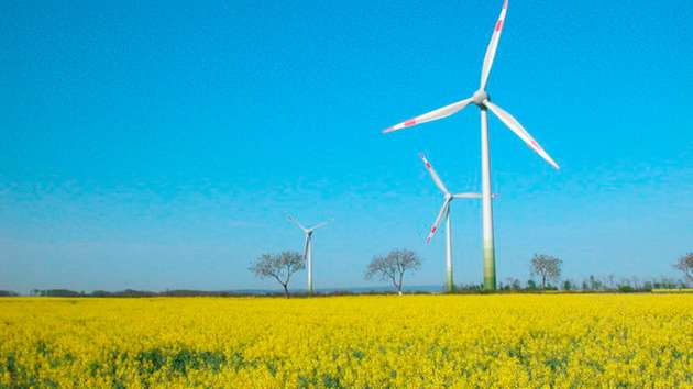 Windenergie ist eine zentrale Säule bei der Stromerzeugung aus erneuerbaren Energien. Wir haben für Sie die wichtigsten Eckdaten rund um das Thema Windenergie zusammengefasst.