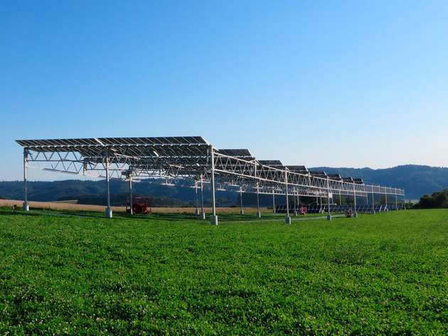Doppelte Ernte: Die Ackerflächen der Demeter-Hofgemeinschaft Heggelbach bringen nicht nur Kartoffeln, Sellerie und Co. hervor, sondern auch Solarstrom.