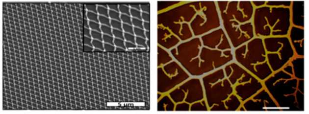 Netzwerke im Vergleich: Links ist ein metallisches Nano-Netzwerk in periodischem Aufbau abgebildet, rechts eine optische Abbildung einer fraktalen Struktur.