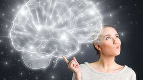 Hirntomografie oder Neuroimaging unterstützt Wissenschaftler dabei, Gehirnprozesse zu untersuchen.