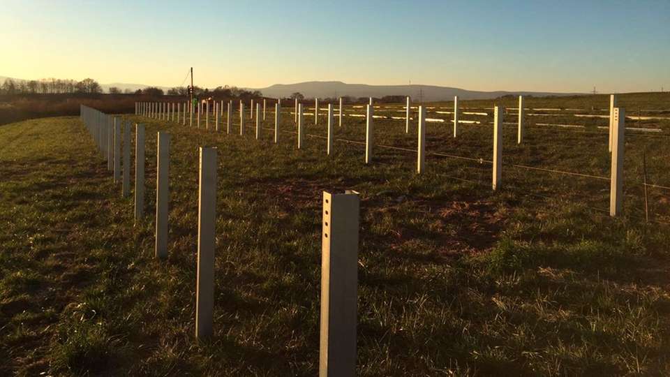 Hier entsteht ein neuer Solarpark in Ellerstadt, der Natur- und Umweltschutz verbindet.