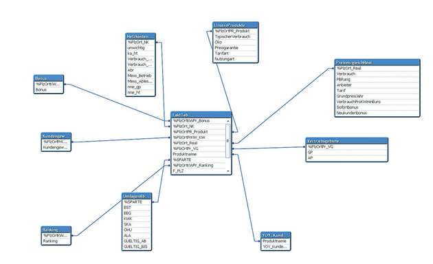 Datenheterogenität beherrschen: Beispiel für ein Datenmodell in QlikView