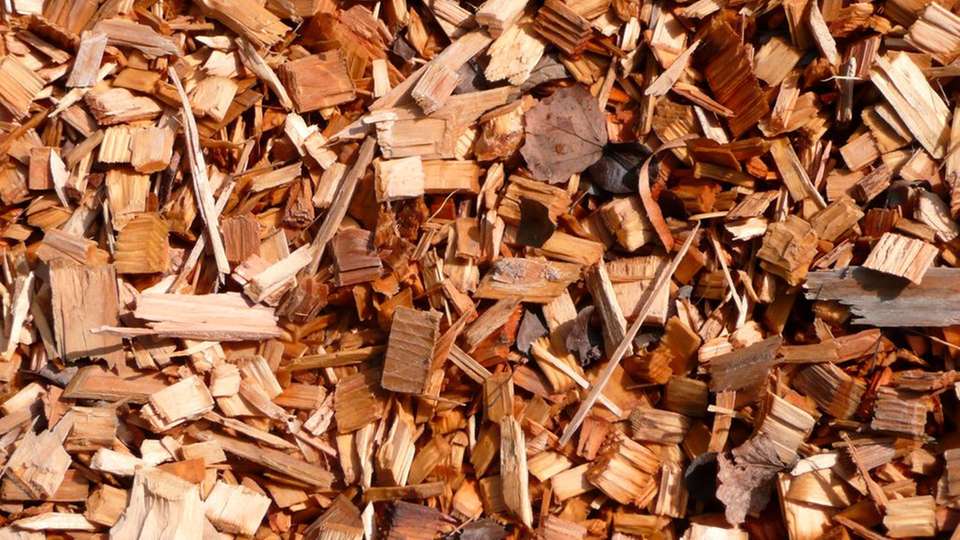 
                        
                        
                          Heizen mit Holzhackschnitzeln: In Südtirol verteilen Strahlpumpen umweltfreundliche Wärme aus heimischem Holz.

                        
                      