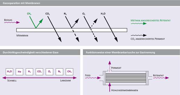 Die Gastrennung durch Hohlfasermembranen nutzt die Tatsache, dass Gasmoleküle unterschiedlich groß und unterschiedlich gut im Polymer löslich sind.