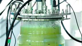 Hier arbeiten die Mikroorganismen im Labor: Sie ernähren sich von Kohlendioxid und Wasserstoff und scheiden reines Methan aus.
