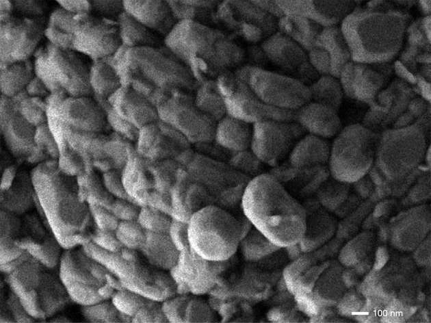 Rasterelektronenmikroskopische Aufnahme des untersuchten Elektrodenmaterials.