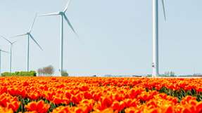 Der erste Speicher aus den BMW i3 Batterien wird am 122-MW-Onshore-Windpark Prinzessin Alexia in der Nähe von Amsterdam gebaut. 
