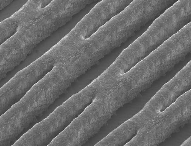 Vergrößerte Aufnahme eines 3 x 4 Millimeter großen Ausschnitts: 3D-gedruckte Polymer-Kanalwände.