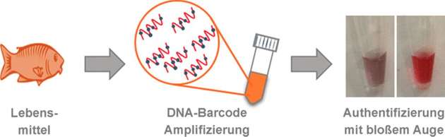 Echte Lebensmittel sind von billigen Ersatzprodukten oder Steckungsmitteln mit dem bloßen Auge zu unterscheiden.