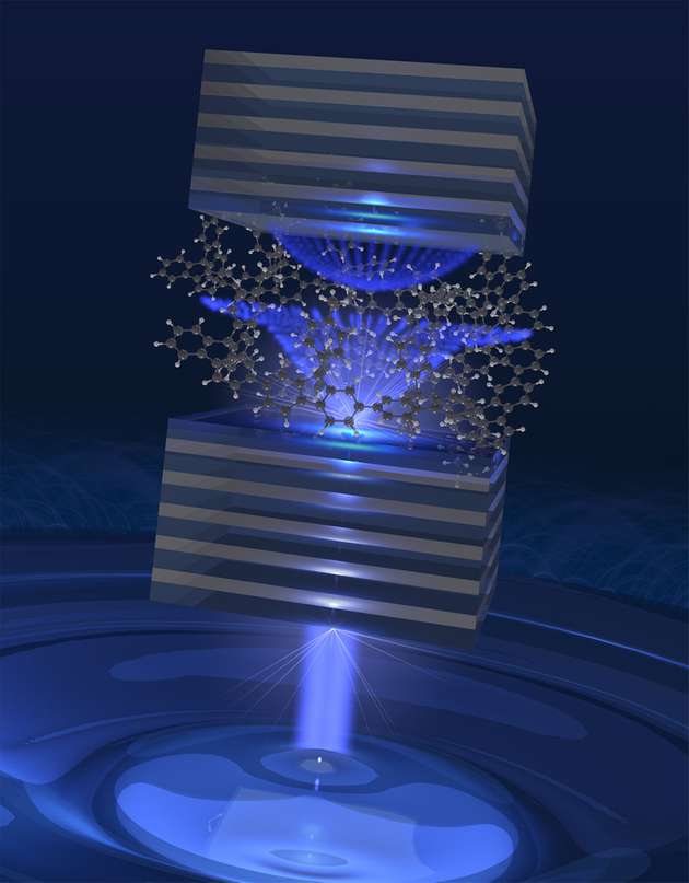 Schematische Darstellung eines Bio-Mikroresonators, der es erlaubt, das superfluide Licht zu beobachten.