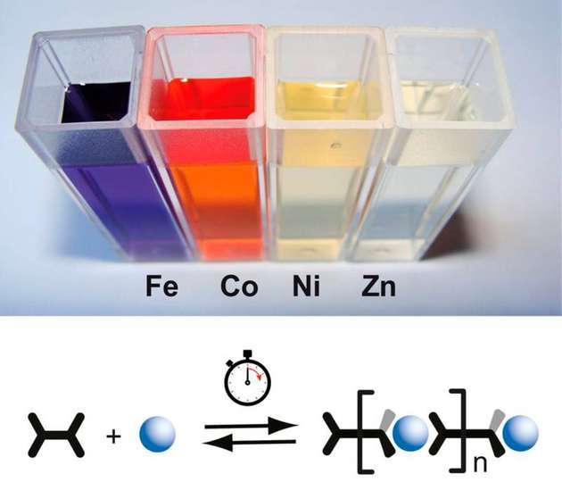 Metallionen, wie Eisen, Cobalt, Nickel oder Zinn, und Liganden bilden in Lösung spontan meist bunt gefärbte MEPE. Die Gruppe von Professor Dirk Kurth hat nachgemessen, wie schnell sie entstehen.