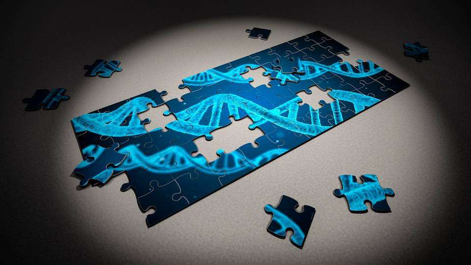 Bei DNA-Untersuchungen ist ein präzises Positioniersystem des Mikroskops von entscheidender Bedeutung.