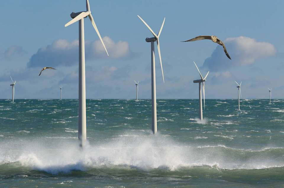 Wissen, wo der Wind weht