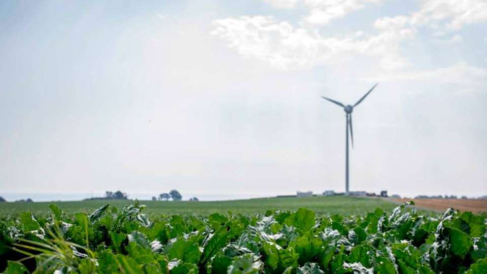 Windräder und Photovoltaikmodule gekoppelt mit Batterien versorgen den Ort Simris in Schweden mit Strom.