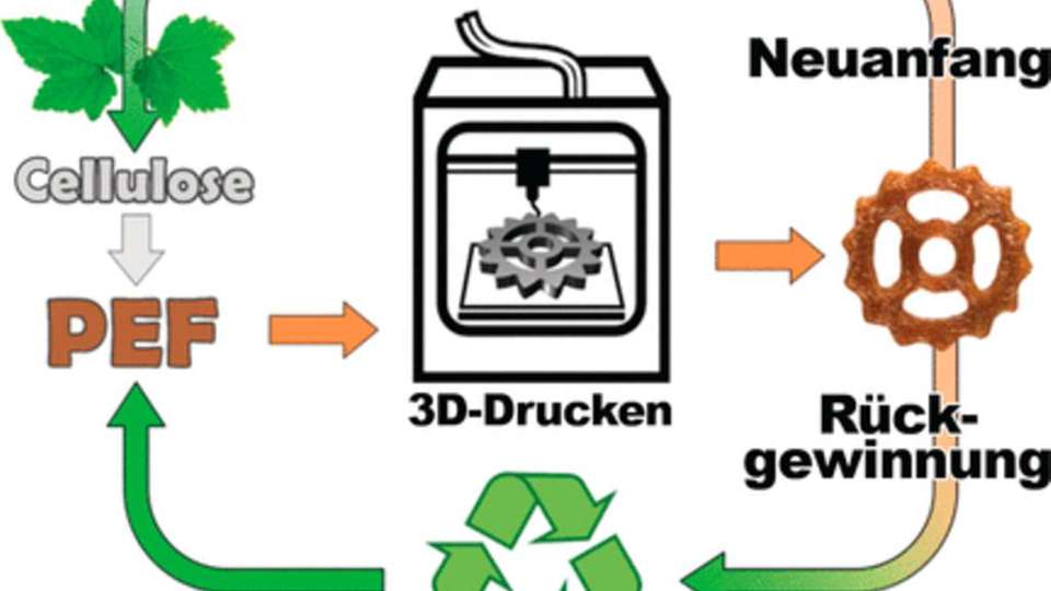 Neues Polymer aus Biomasse ist problemlos recyclebar.