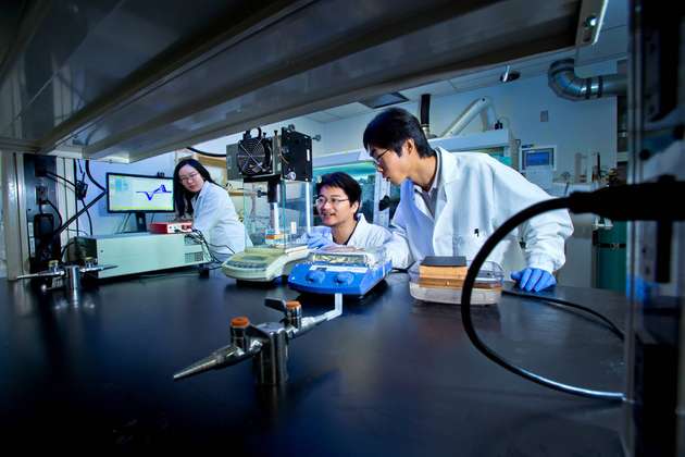 Liangbing Hu von der Universität Maryland und sein Team haben im Labor bereits erfolgreich solare Dampferzeugung und Holz kombiniert. 