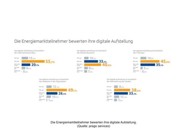 Die Energiemarktteilnehmer bewerten ihre digitale Aufstellung