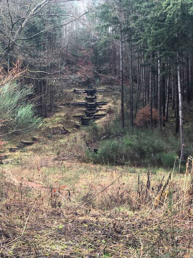 Holzkastenverbau zur Vermeidung von Erosionen und Hangrutschungen.