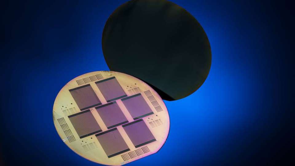 Monokristalline Siliziumsolarzelle mit Polo-Kontakten für beide Polaritäten auf der Solarzellenrückseite.