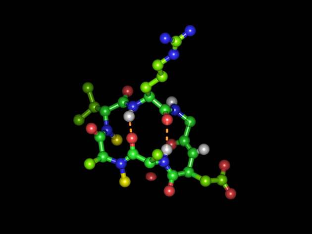 Zyklisches Hexapeptid, bestehend aus: Arginin (oben), Glycin, Asparaginsäure, Alanin, N-methyliertes Alanin, N-methyliertes D-Valin (im Uhrzeigersinn)