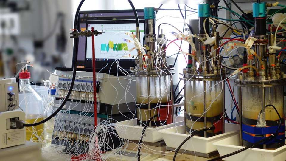 Der TU Wien ist es gelungen, die chemischen Abläufe in einem Bioreaktor im Detail zu analysieren und mit Gleichungen zu beschreiben.
