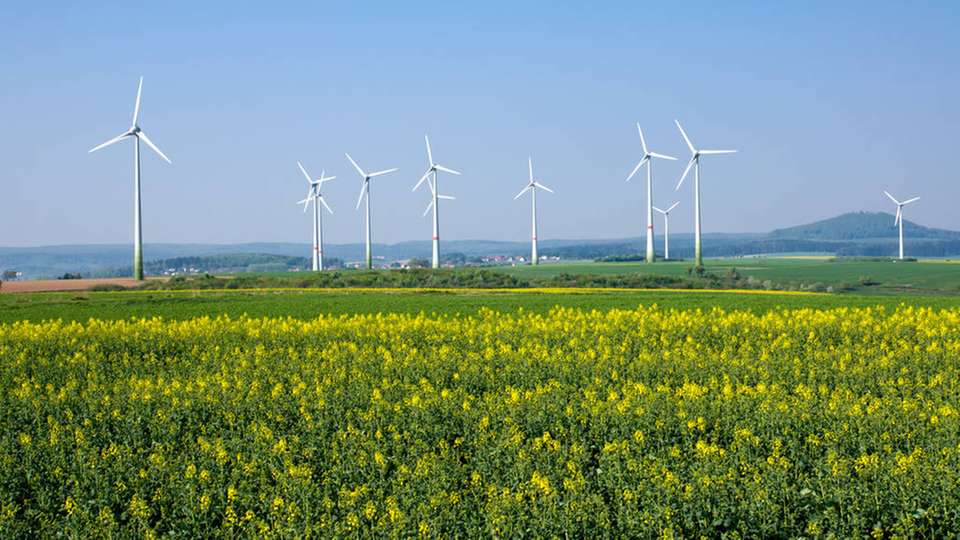 Die Entwicklung großer Freiflächenanlagen soll Erneuerbare, wie Onshore-Wind, ergänzen.