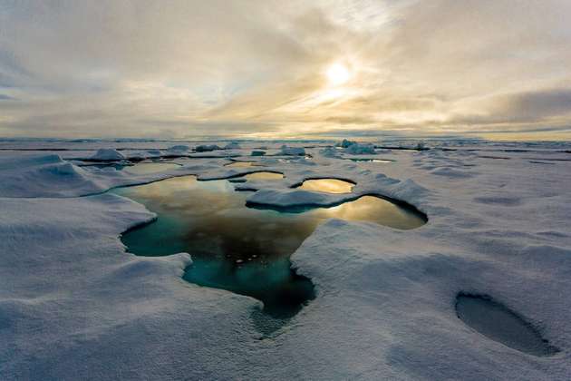 Schmelztümpel auf arktischem Meereis
