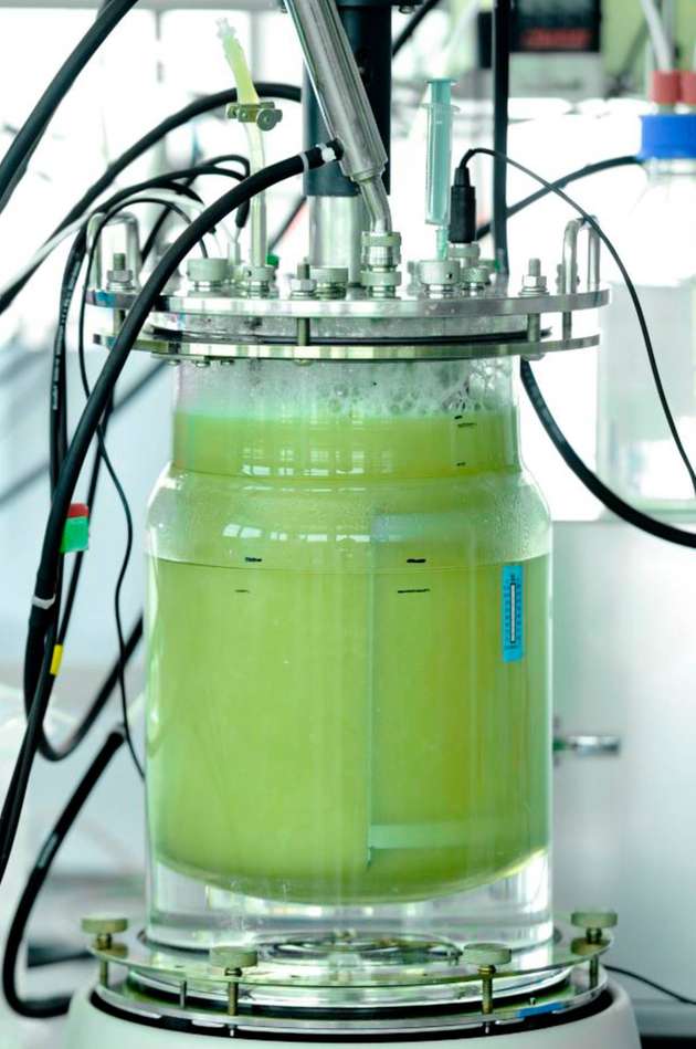 Ein Electrochaea Archaeen-Bioreaktor im Labormaßstab.