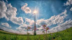Seit Anfang 2017 ist die Förderhöhe für Windenergieanlagen an Land um rund 17 Prozent gefallen.