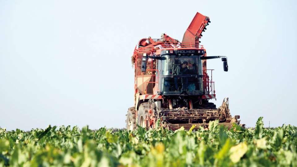 Der Verlust von mit Neonikotinoiden gebeiztem Saatgut hat laut Bayer negative Auswirkungen auf die europäischen Landwirte.