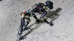Laufroboter Charlie trainiert für die Marsmission.