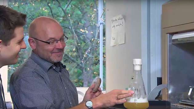 In Petrischalen und Erlenmeyerkolben züchtet das Team von Christoph Syldatk vom KIT Mikroorganismen, die aus Biomasse chemische Rohstoffe synthetisieren können.
