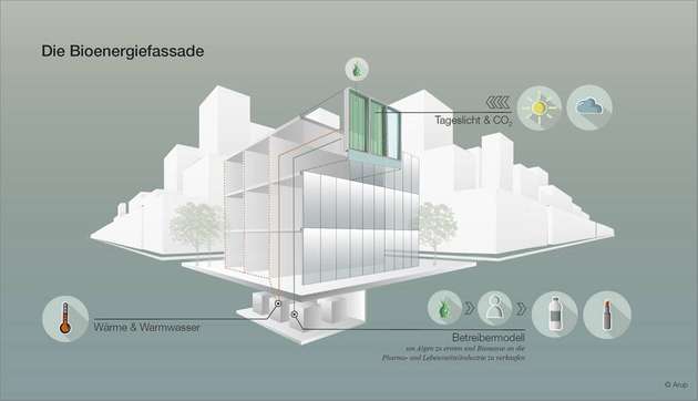 Die Bioenergiefassade nutzt das Sonnenlicht, um Wärme und Biomasse zu produzieren. In der Effizienz ist sie mit etablierten solaren Systemen vergleichbar.