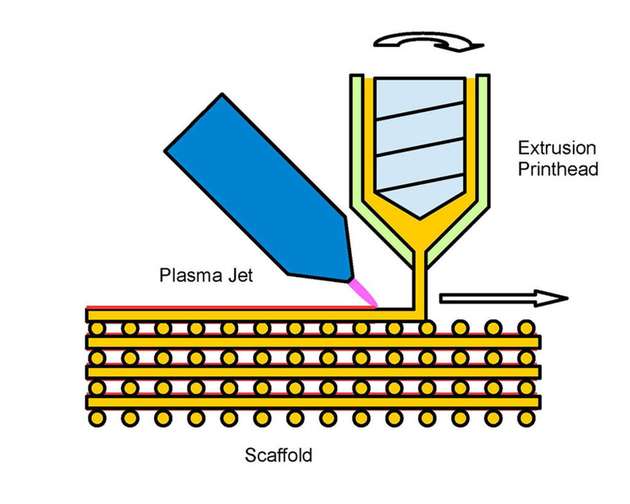Schema zur Herstellung beschichteter Gerüste: Unmittelbar nach der Extrusion werden die Gerüststrukturen mit einem kalten Plasma behandelt.