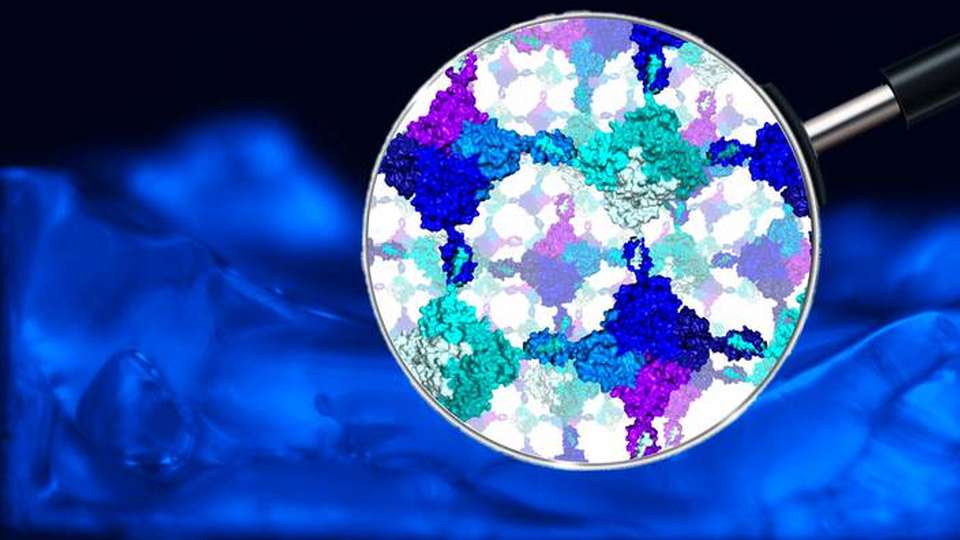 Biokatalysator: Zwei verschiedene Eiweißstoffe fügen sich, einem Zweikomponentenkleber vergleichbar, von selbst zu einem Hydrogel zusammen.