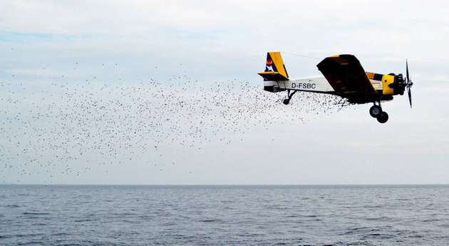 Abwurf der Ölbinder aus der Maschine M18-Dromader über der Ostsee.