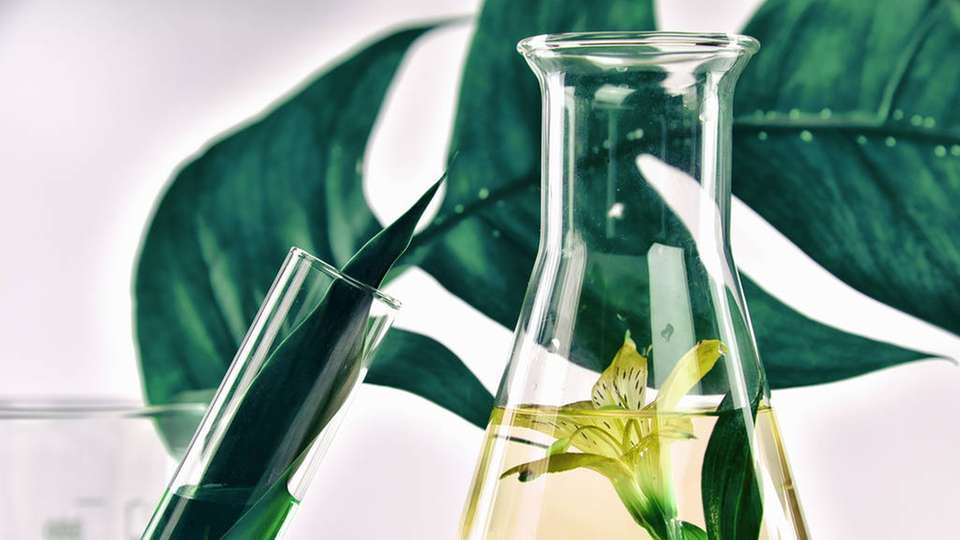 Mit vier neuen Herstellungsverfahren will BASF dem Umweltschutz in der Chemieproduktion begegnen.