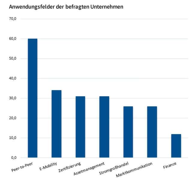 Blockchain-Anwendungsfelder der befragten Unternehmen.