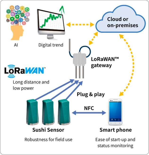Der Sushi-Sensor verwendet LoRaWAN und kann aus der Ferne über ein Smartphone überwacht werden.