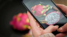 Mit Nahinfrarot-LED-Technik könnten Verbraucher künftig Lebensmittel einfach und mobil auf ihre Inhalte prüfen.