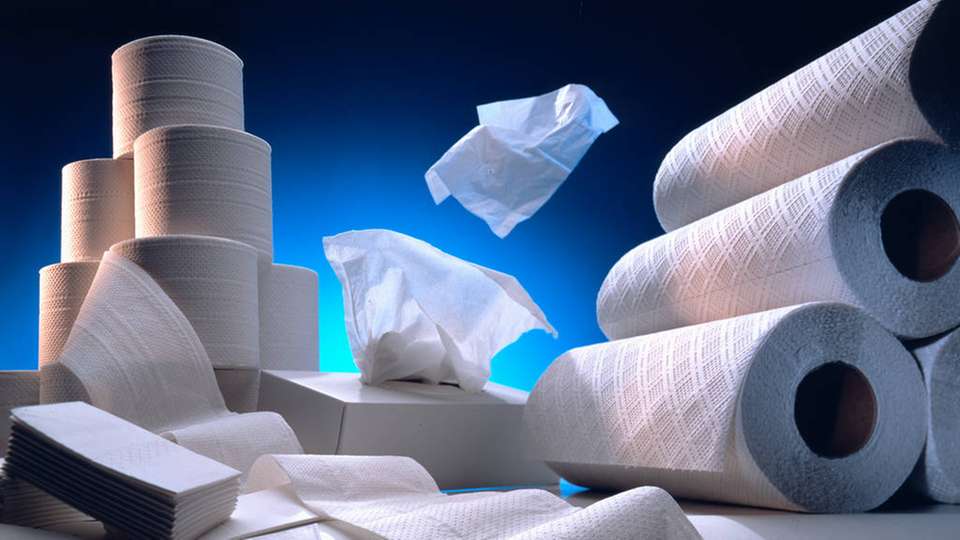 Die Entwicklung von Hygienepapieren blieb 2018 annähernd stabil, während grafische und Verpackungspapiere größeren Schwankungen unterlagen.