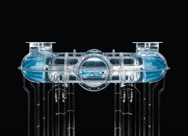 Der BionicFinWave kann selbstständig durch ein Rohrsystem aus Acrylglas manövrieren. Er könnte zum Beispiel Inspektionsaufgaben in der Wasser- und Abwassertechnik durchführen.