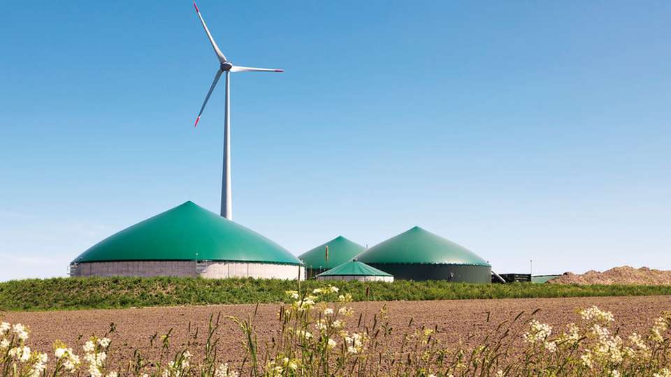 Schafft Gleichgewicht: Biogas wird künftig verstärkt die Fluktuationen der Wind- und Solareinspeisung ausregeln müssen.