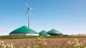 Schafft Gleichgewicht: Biogas wird künftig verstärkt die Fluktuationen der Wind- und Solareinspeisung ausregeln müssen.