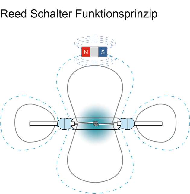 Ein Reed-Schalter besteht aus zwei überlappenden ferromagnetischen Schaltzungen, die hermetisch in ein Glasröhrchen eingeschmolzen werden. Wirkt ein Magnetfeld auf den Schalter, bewegen sich die Paddel aufeinander zu – der Schalter schließt.
