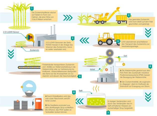 Die Grafik zeigt die typischen Verarbeitungsschritte von Zuckerrohr.