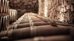Ausgewählte Weinbaubetriebe unterzogen sich einem Praxistest, um herauszufinden, ob das klassische Holzfass durch IBCs ersetzt werden kann.